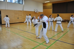 DSC_6785